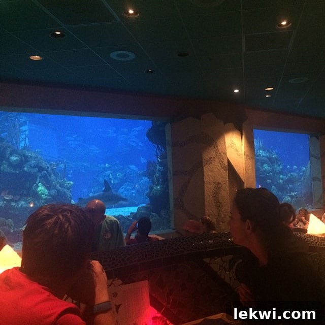 Coral Reef Restaurant aquarium