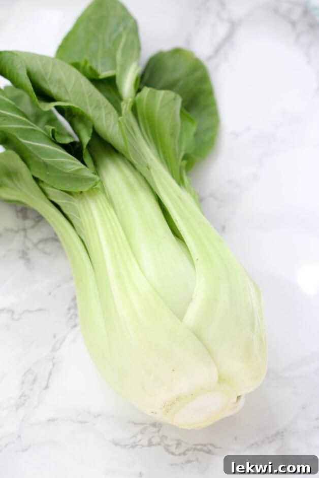 Simple Paleo, Whole30, and AIP Chicken and Vegetable Stir-Fry 2 A fresh stalk of baby bok choy, uncooked and ready for preparation, showcasing its vibrant green leaves and white stalks.