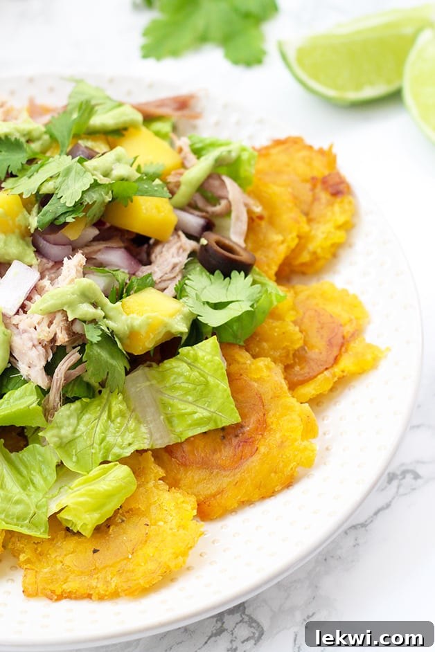 A perfectly built plate of Paleo Nachos with carnitas, sweet potato chips, mango salsa, and cilantro avocado sauce