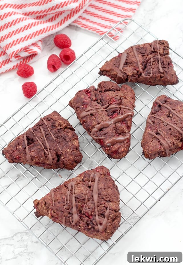 Two Paleo Chocolate Raspberry Scones on a white plate, with fresh raspberries scattered around, emphasizing their appealing presentation.