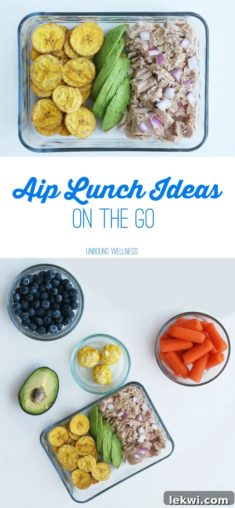 Easy AIP Lunch Ideas on the go, showcasing a variety of packed meals
