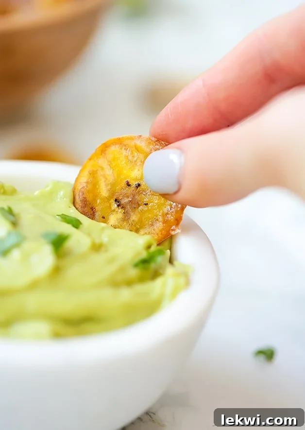 A hand holding a perfectly baked plantain chip, ready to be enjoyed as a healthy snack.