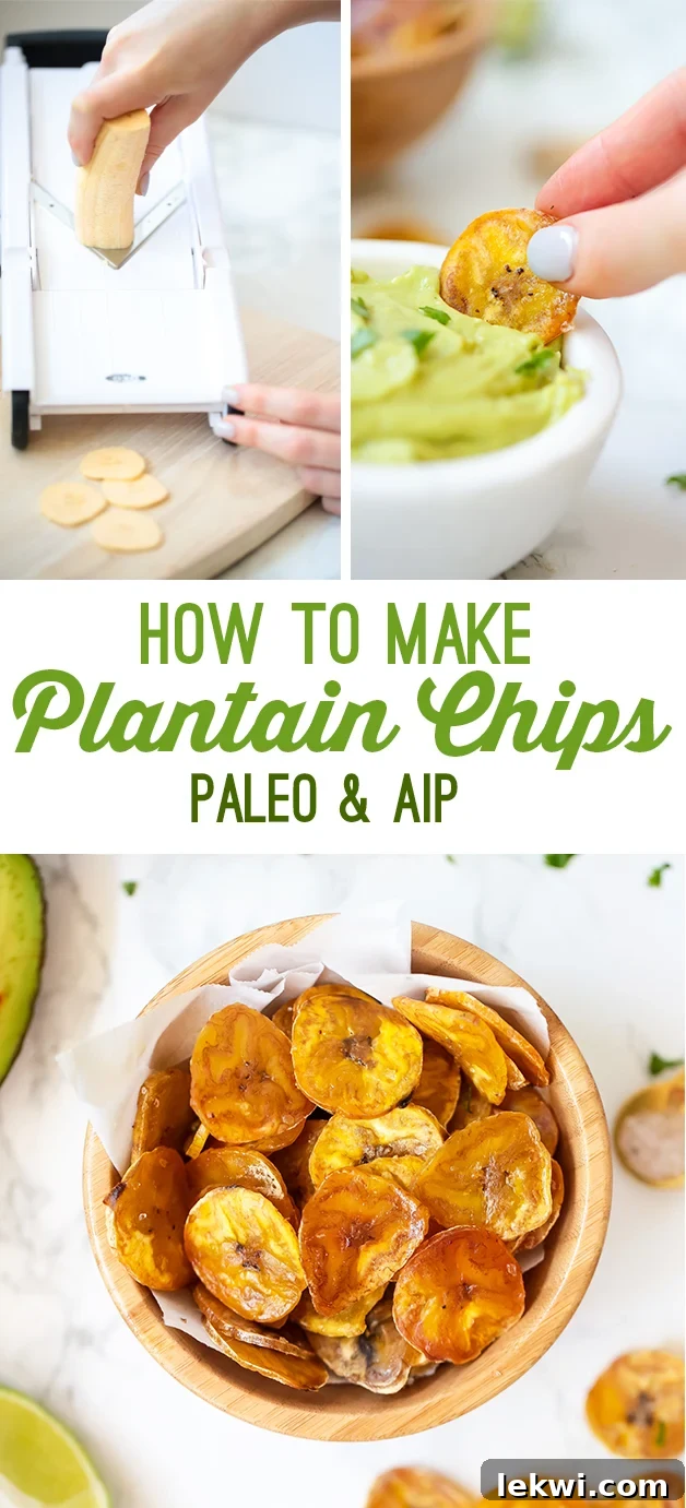 A large image suitable for Pinterest, showcasing the final baked plantain chips, ideal for sharing.