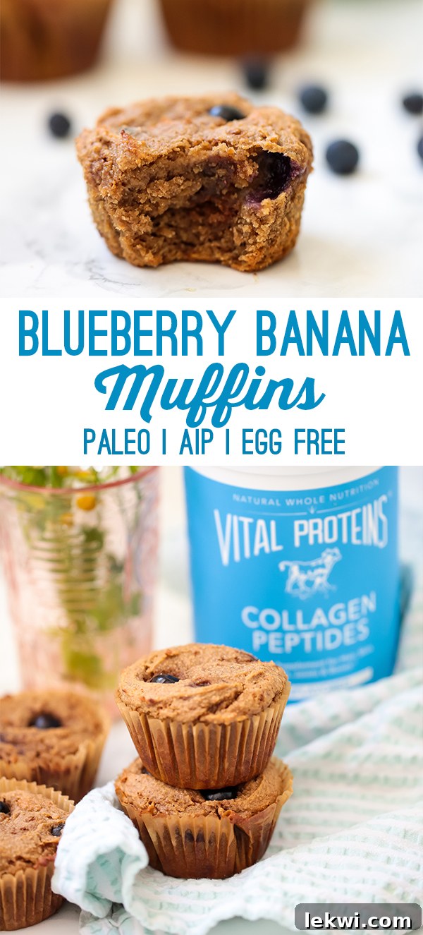 A stack of blueberry banana muffins with text overlay "Blueberry Banana Muffins Paleo AIP Egg Free", perfect for healthy and allergen-friendly baking inspiration.