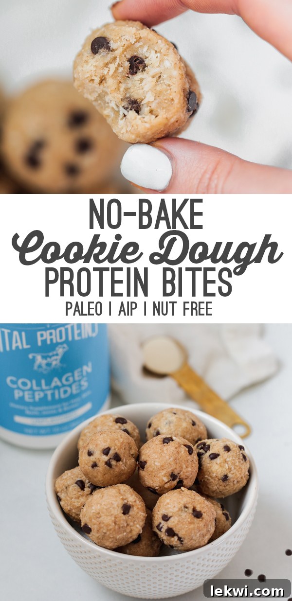 A white bowl filled with cookie dough protein bites with text reading "no bake cookie dough protein bites paleo aip nut free".