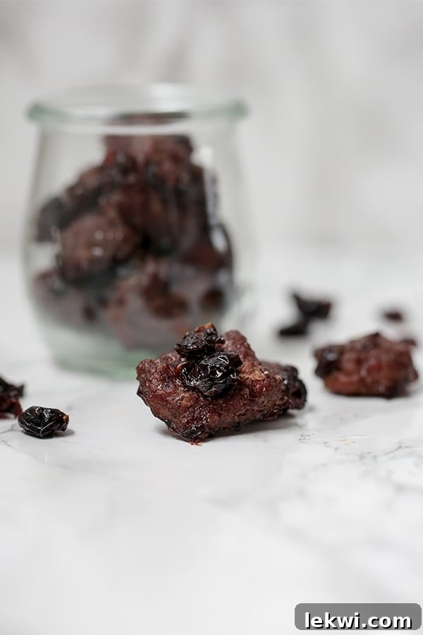 Homemade Cranberry Beef Jerky Bites, a perfect grab-and-go protein snack for healthy lifestyles