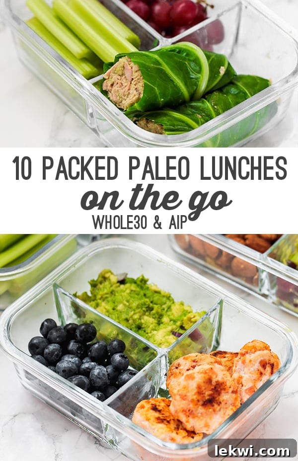 Paleo packed lunch with various healthy ingredients in a container, ready to go.