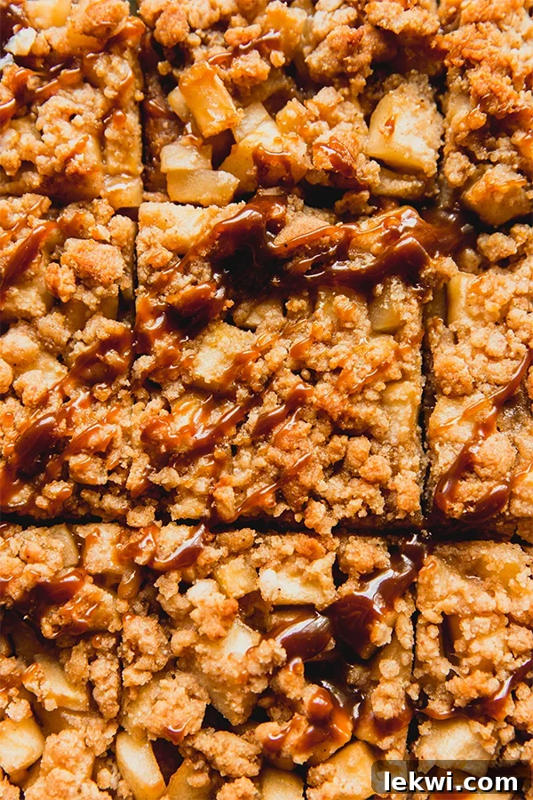 Caramel sauce drizzled on apple pie bars.