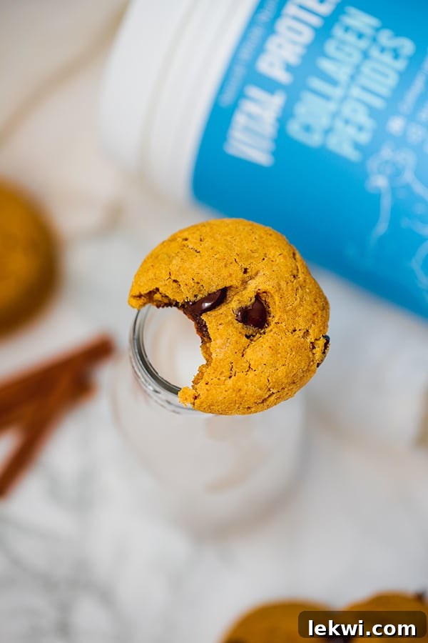 A pumpkin chocolate chip cookie balanced on the top of a glass, with a bite taken out of the cookie, showcasing its fluffy interior and chocolate pieces.