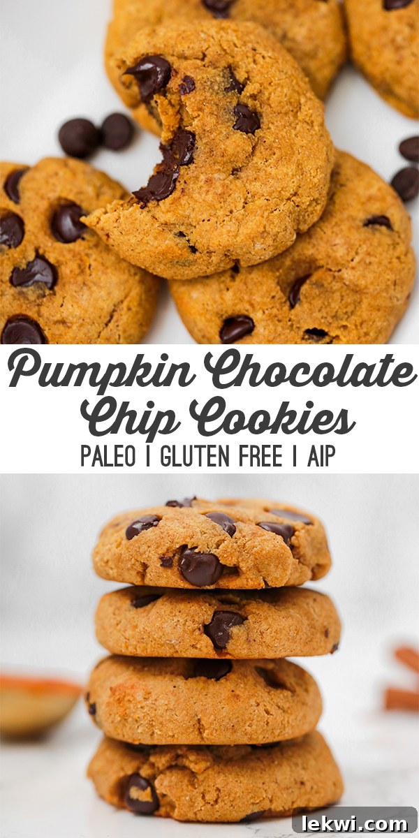 A few pumpkin chocolate chip cookies sitting on a counter with a bite taken out of one of them and text reading "pumpkin chocolate chip cookies paleo gluten free AIP" emphasizing their health benefits.