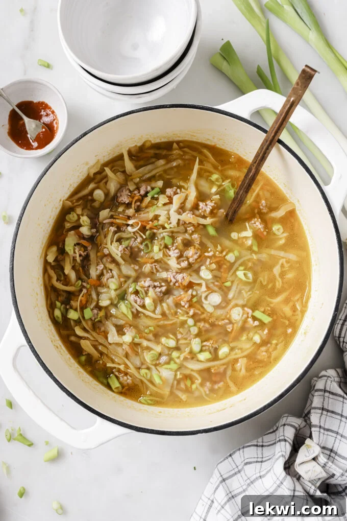 Egg roll soup in a large cast iron pot.