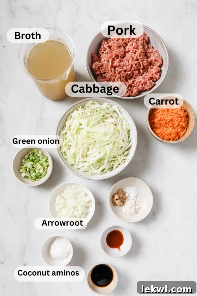 Overhead photo of the ingredients for the egg roll soup.