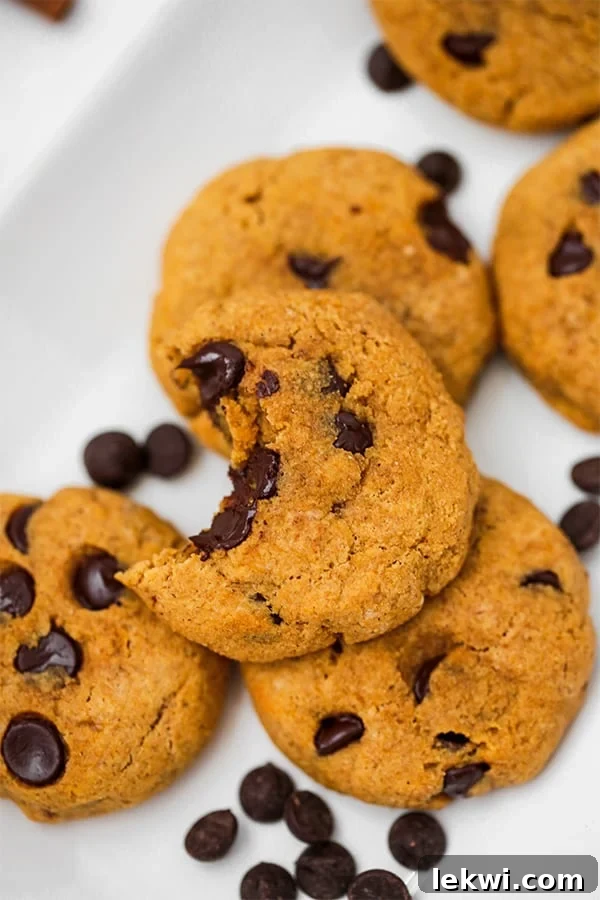 A white plate with pumpkin chocolate chip cookies on it and a bite taken out of one of them.