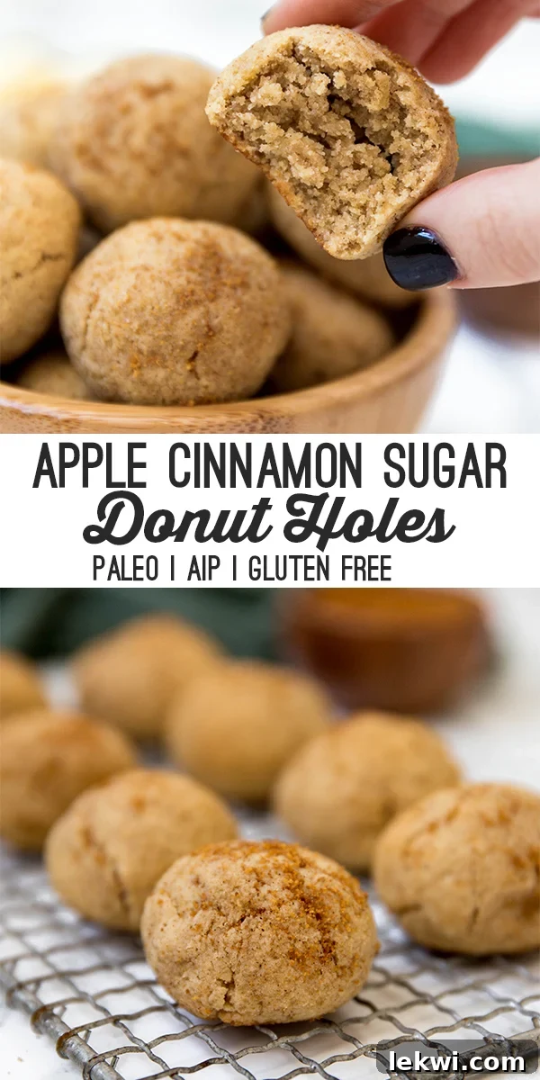A vibrant collection of Paleo & AIP Cinnamon Sugar Apple Donut Holes for sharing