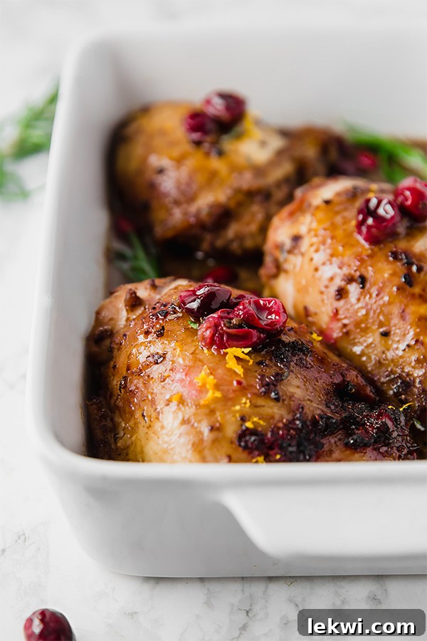 Cranberry Chicken Thighs