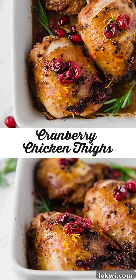 Cranberry Chicken Thighs