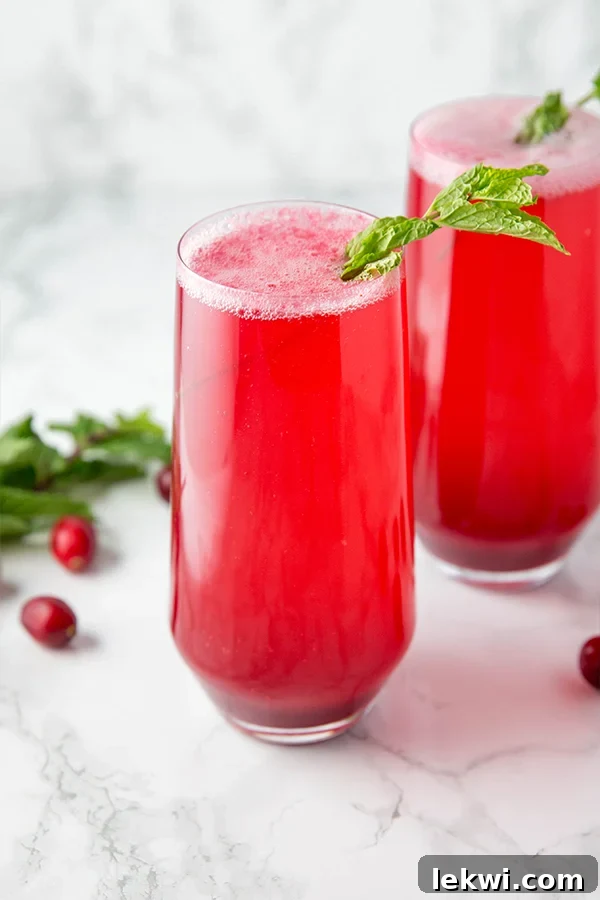 Two glass cups filled with cranberry mocktails and topped with fresh herbs.