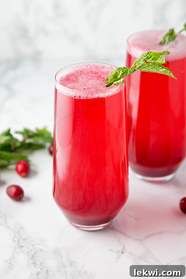 Two elegant glass cups filled with sparkling cranberry mocktails, garnished with fresh herbs, ready for a festive celebration.