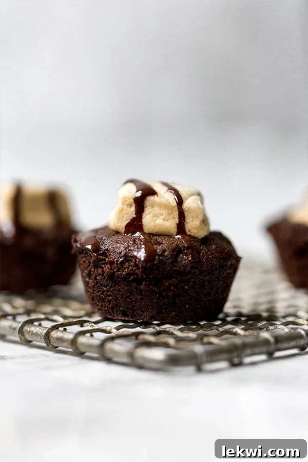 hot chocolate brownie bites, paleo, AIP, gluten-free, dairy-free