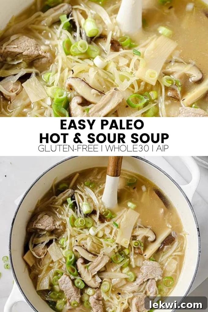 A vibrant collage featuring the text "Easy Paleo Hot & Sour Soup Gluten-Free | Whole30 | AIP." alongside an image of the finished soup.
