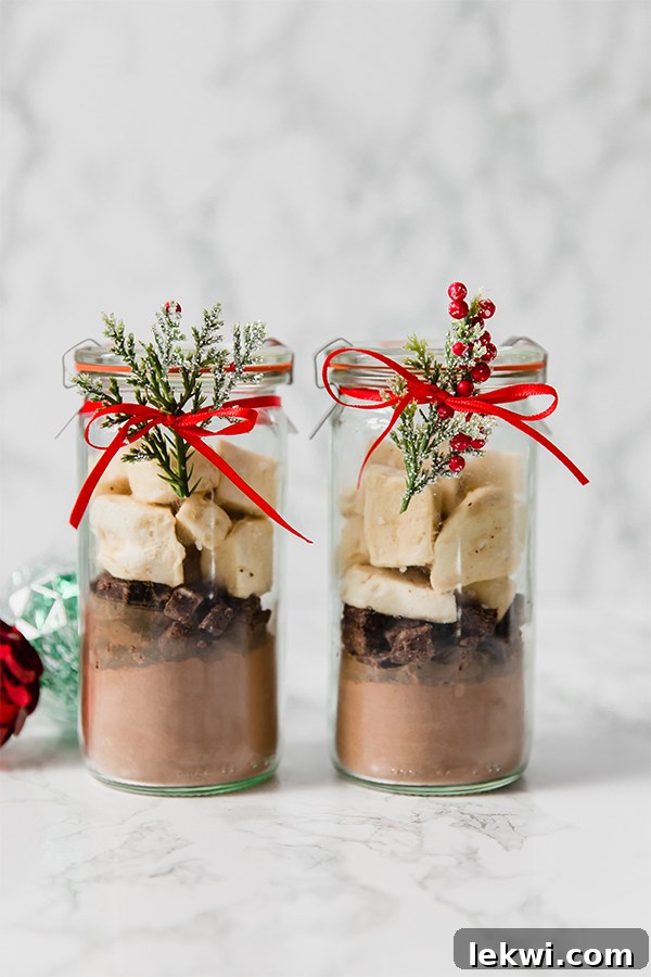 Two elegant glass jars brimming with homemade collagen hot cocoa mix and fluffy peppermint marshmallows, adorned with a festive bow.