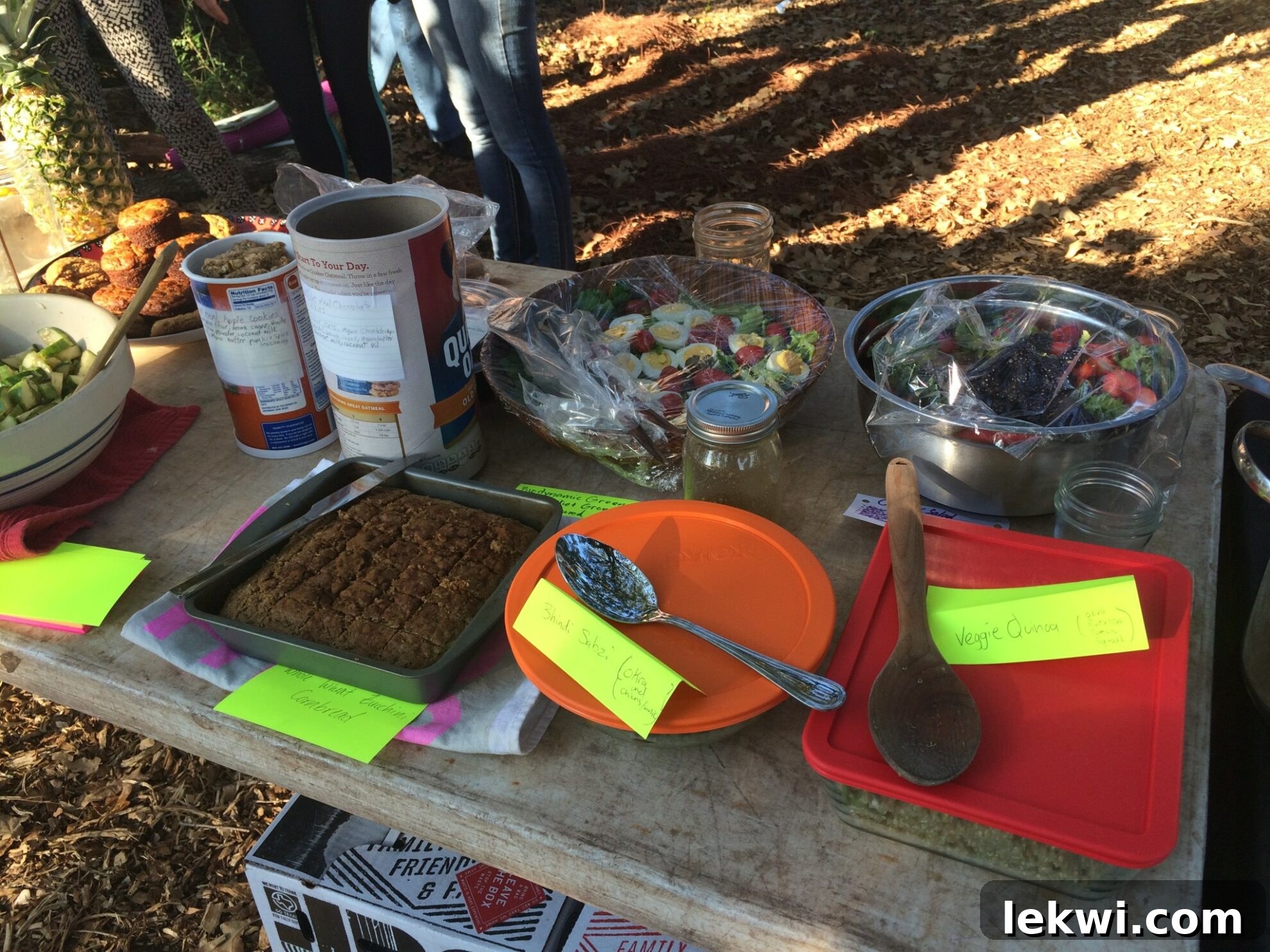 Autumn Harvest: Johnson's Organic Garden Tour and Potluck 3 A vibrant display of potluck dishes, showcasing community contributions at the farm event.