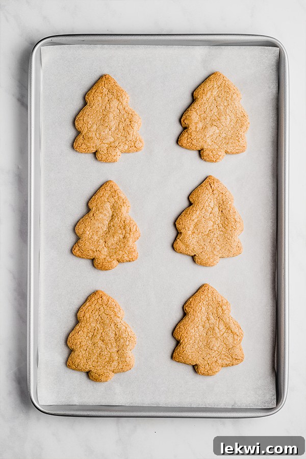 A sheet pan with six christmas three sugar cookies after baking.