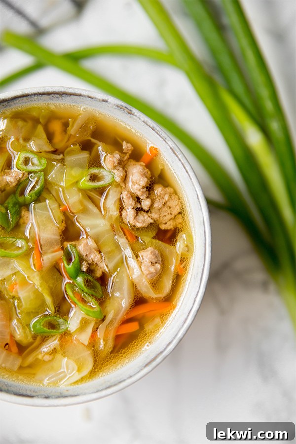A large bowl of delicious paleo egg roll soup, brimming with ground meat, shredded cabbage, carrots, and an aromatic broth, garnished with fresh green onions and sesame seeds. This comforting soup is Whole30 and AIP compliant.