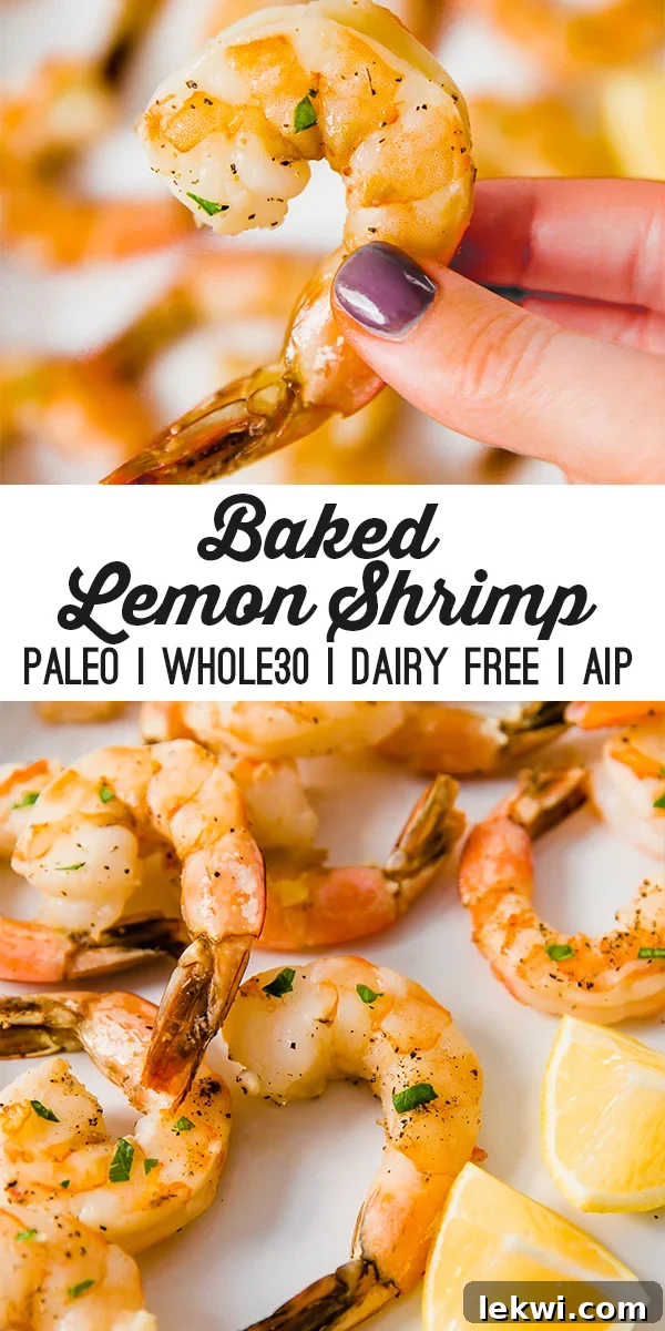 A top-down shot of several lemon baked shrimp on a white background, garnished with fresh parsley and lemon slices.
