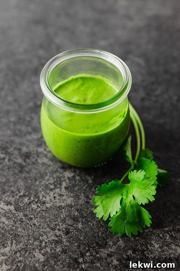 A close-up shot of a glass jar filled with chimichurri sauce, with a single sprig of parsley draped elegantly nearby.