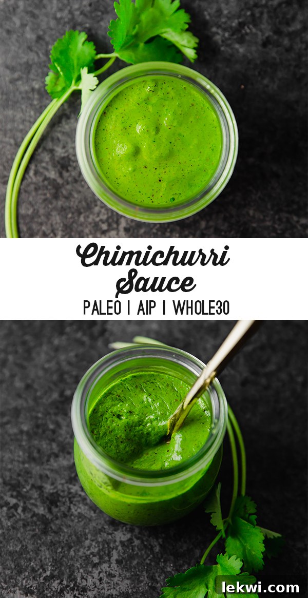 chimichurri sauce
