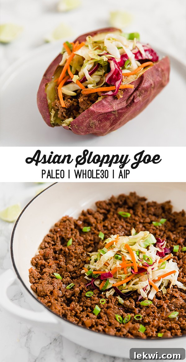 Asian Sloppy Joe