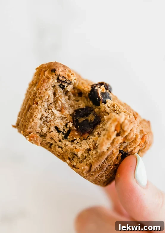 A close-up shot of a single carrot cake muffin with a bite taken out, revealing its moist, perfectly textured interior speckled with vibrant shredded carrots and juicy raisins.