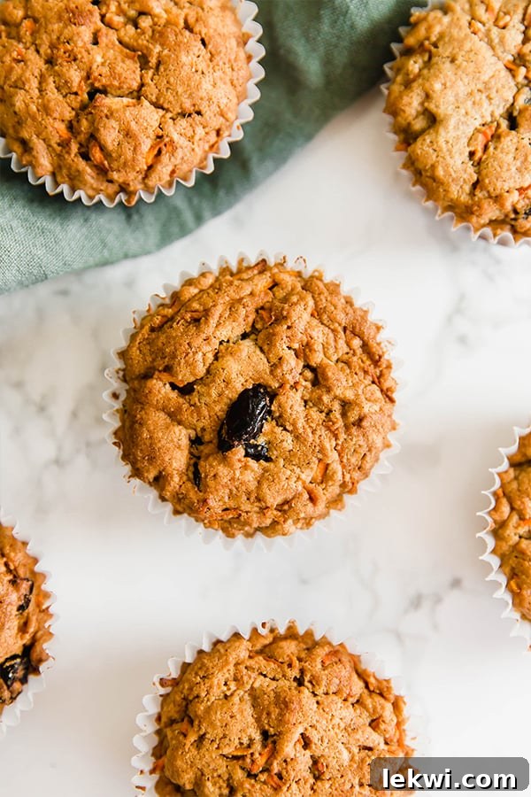 An overhead shot of carrot cake muffins all spread out on a counter, displaying their appealing texture and golden tops.