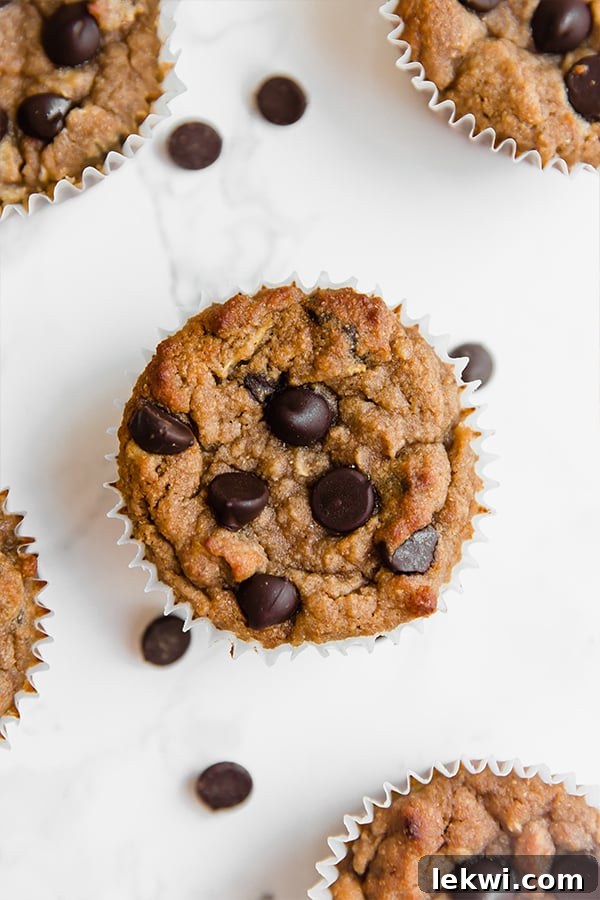 A zucchini chocolate chip muffin with extra chocolate chips.