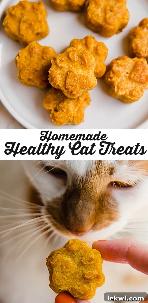 Pin graphic: These homemade cat treats are the perfect treat for your kitty! They're made with salmon, pumpkin, oats, egg, and avocado oil.