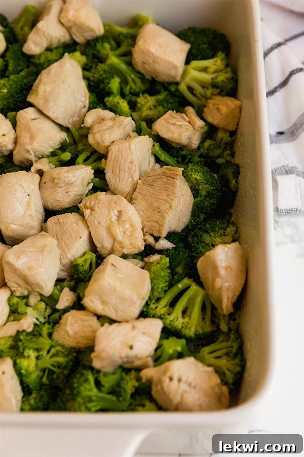 A close-up of a portion of Paleo Chicken Divan served over cauliflower rice in a bowl.