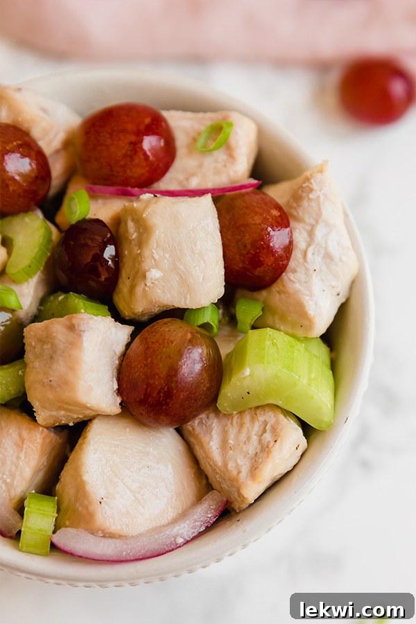 A delicious bowl of healthy no-mayo chicken salad, showcasing its vibrant ingredients and fresh appeal.