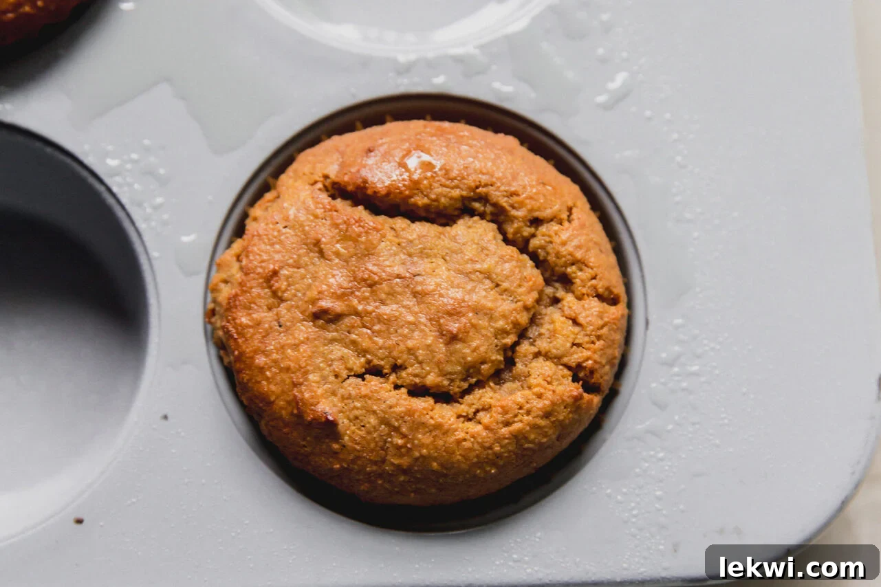 A muffin tin with a freshly baking high protein muffin in it.